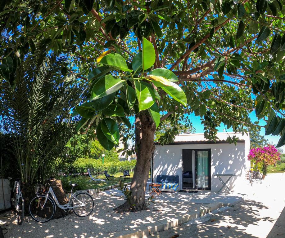 Zahrada ubytování MAYANA SICILY - The suites