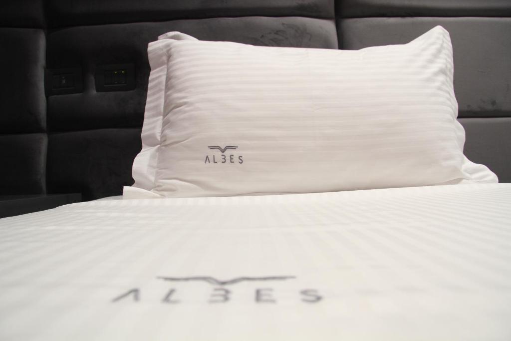 Postel nebo postele na pokoji v ubytování Albes Hotel