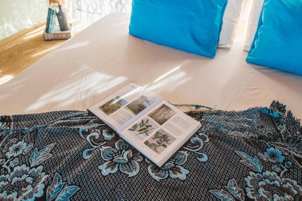 Fotografie z fotogalerie ubytování CocoVivo v destinaci Bocas del Toro