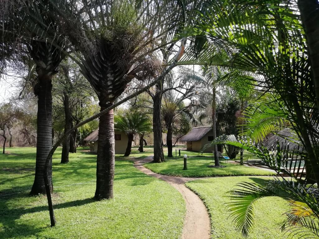 a path through a lush green park with palm trees at Shumba Safaris Bush Camp in Hoedspruit