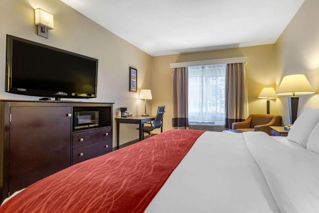 Postel nebo postele na pokoji v ubytování Comfort Inn & Suites North Tucson Marana