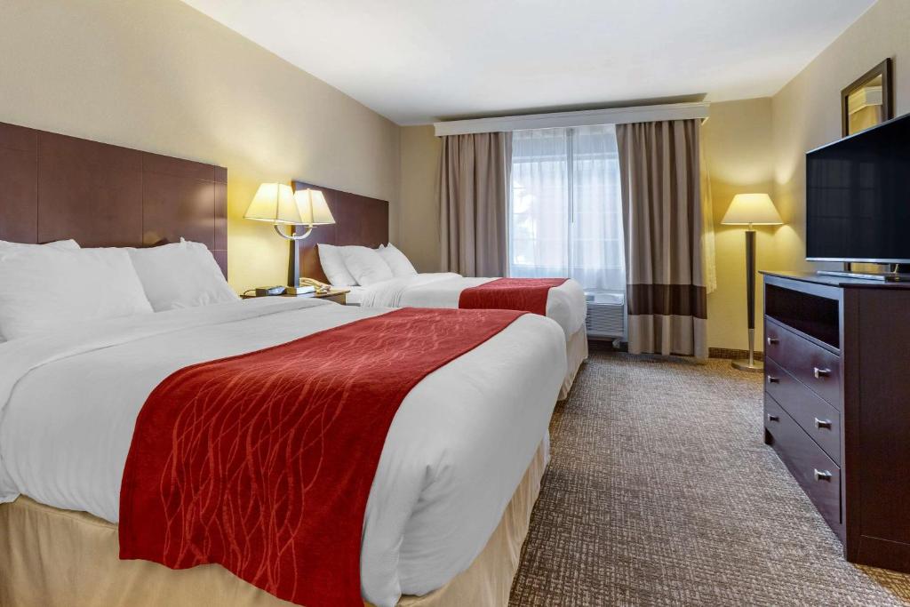 Postel nebo postele na pokoji v ubytování Comfort Inn & Suites North Tucson Marana