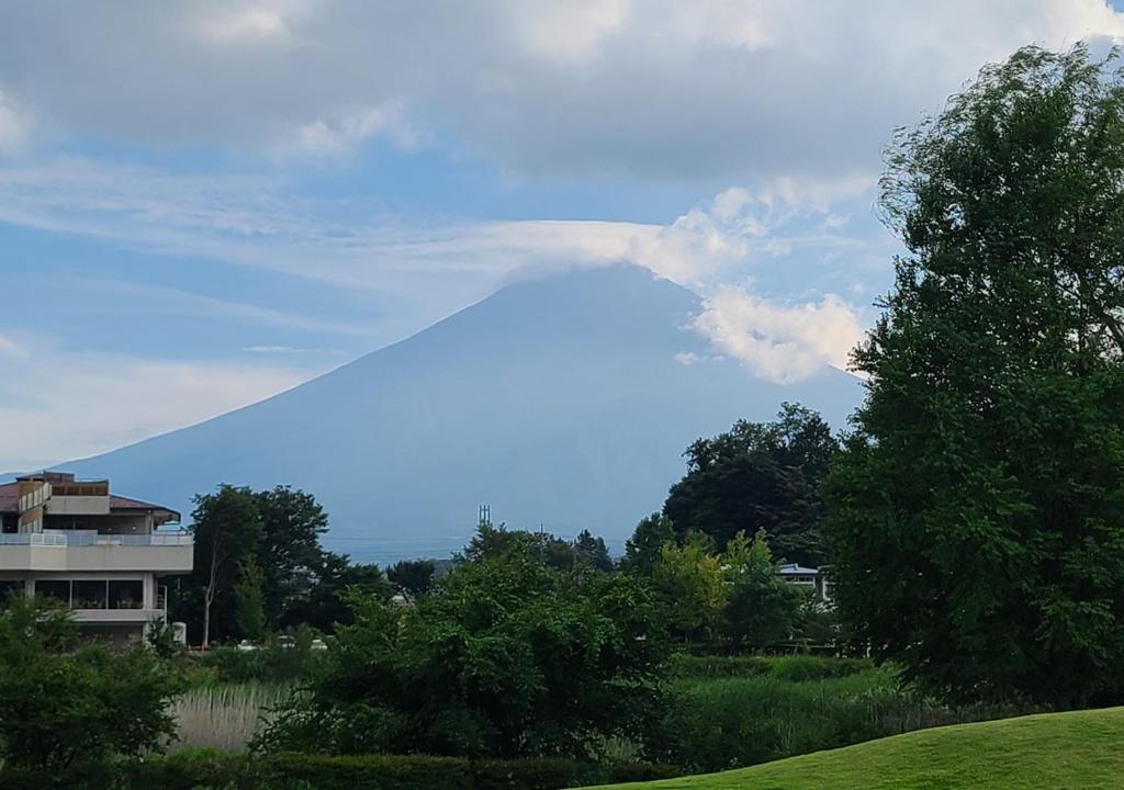 アパートメントの近くで見られる自然の景観