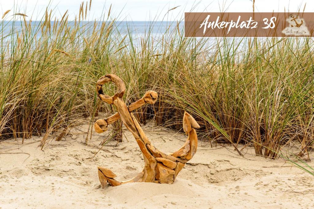 a piece of driftwood in the sand on a beach at Ankerplatz38 in Trassenheide