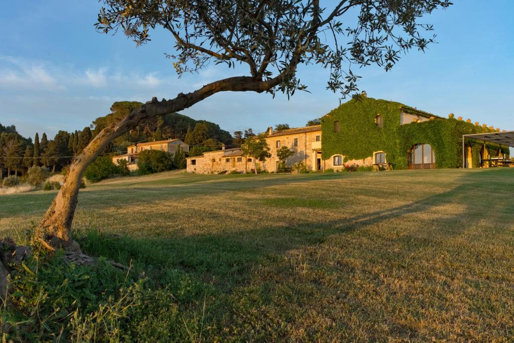 un árbol en un campo al lado de una casa en La Marrana - Castello del Terriccio, en Castellina Marittima