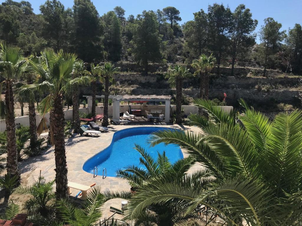 an aerial view of a resort pool with palm trees at Finca las Estrellas in Relleu