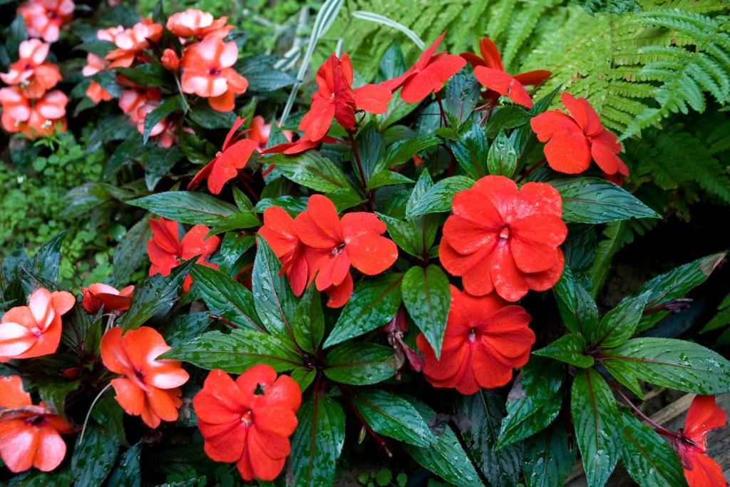 Dièse Hôtel Bastille - Resim 39