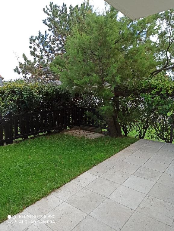un árbol en un patio junto a una valla en MON CABOURG PLAGE en Cabourg