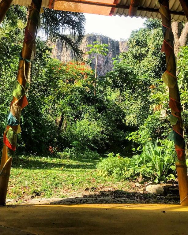  Mariri Jungle Lodge