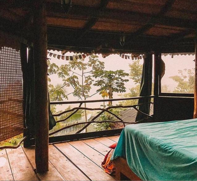  Mariri Jungle Lodge