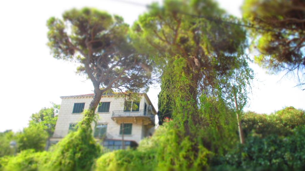ein weißes Haus mit Bäumen davor in der Unterkunft Apartment Dubrovnik Surprise in Dubrovnik
