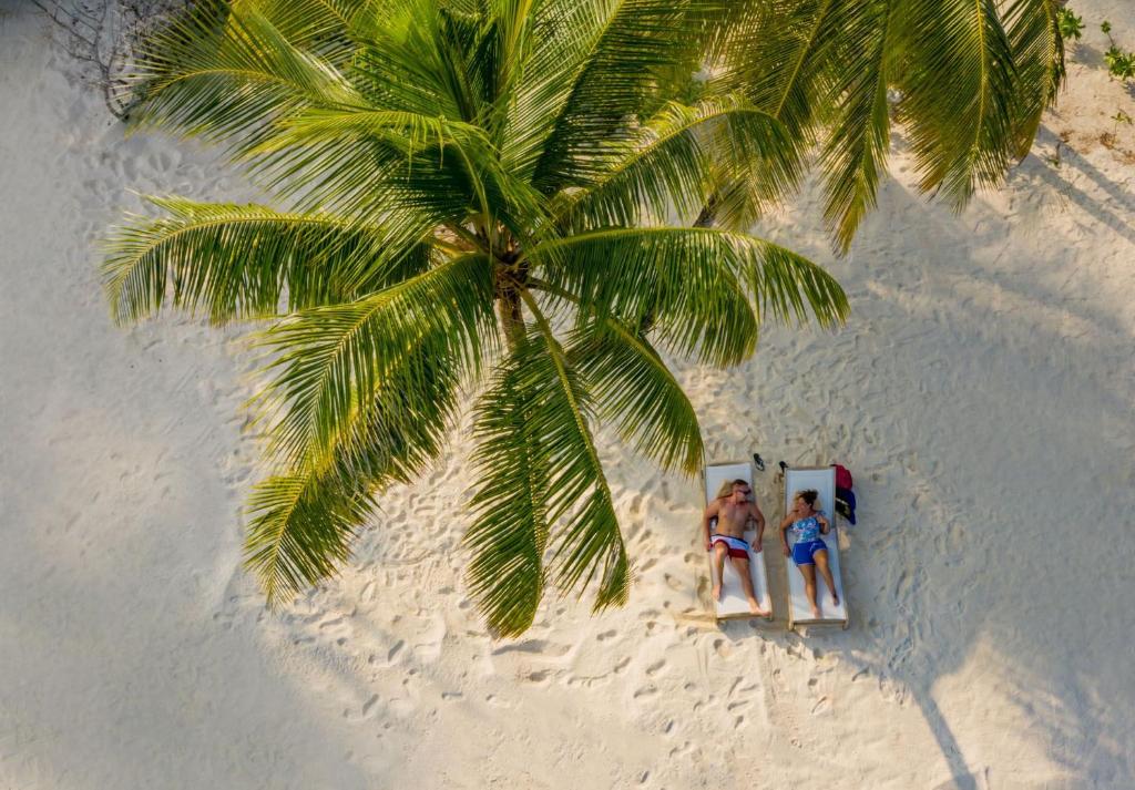 Hosté ubytování Fiyavalhu Resort Maldives