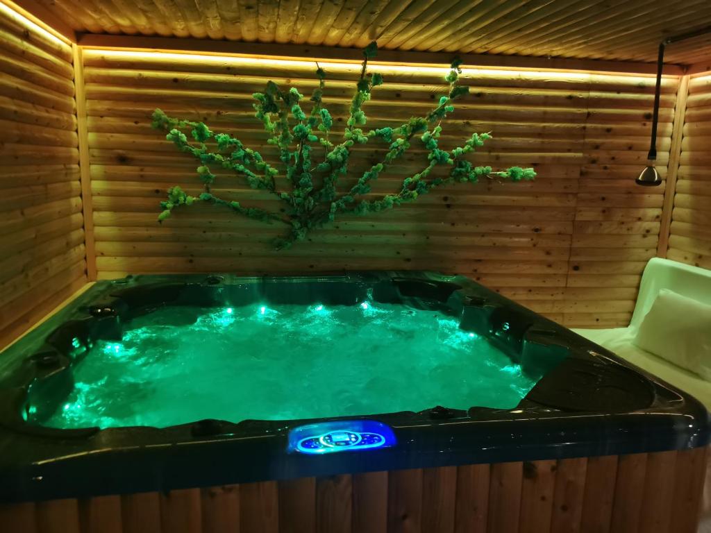 Fotografie z fotogalerie ubytování DNT HOUSE &spa v destinaci Cîrcea