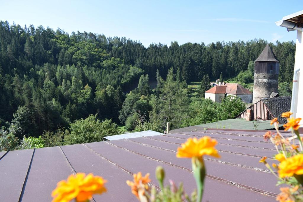 Příroda nedaleko bed and breakfast