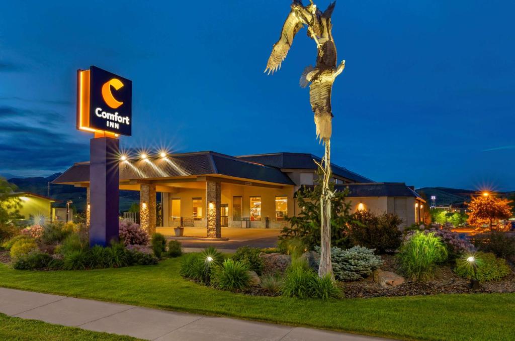 a hotel with a palm tree in front of a building at Comfort Inn Bozeman near University in Bozeman