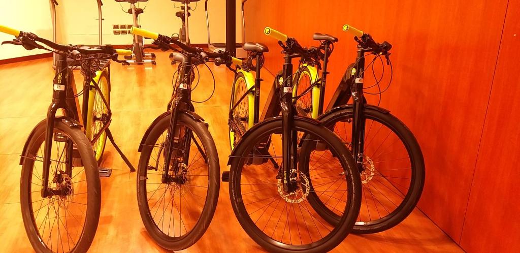 Jazda na bicykli v okolí ubytovania Hotel Cala Del Porto