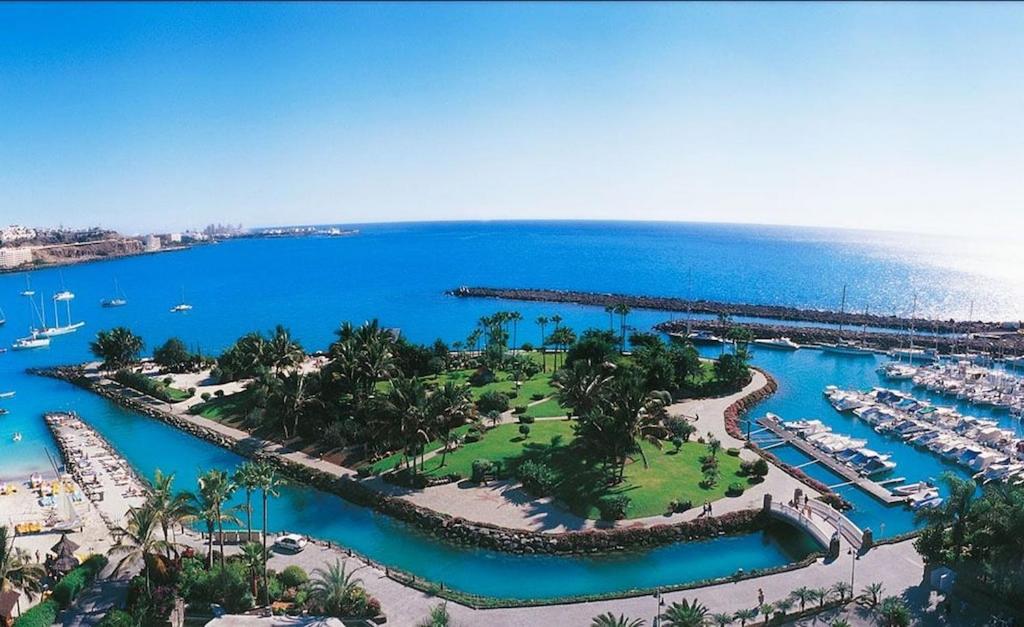 Verga a island la Go To
