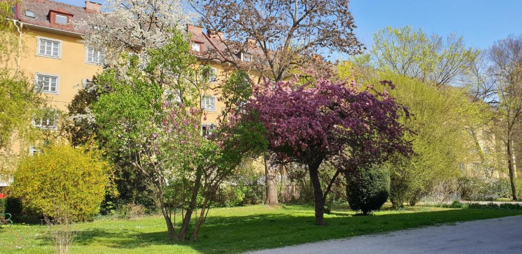 Vonkajšia záhrada v ubytovaní White Flat by GrazRentals with cool location & free parking