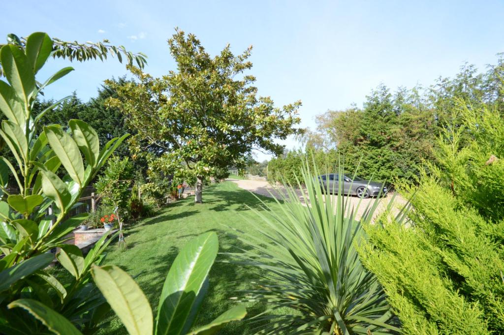 a garden with a car parked in a driveway at Lakeside Old Hunstanton in Hunstanton