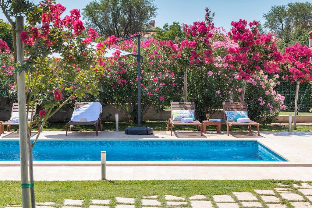 Bazén v ubytovaní Villa Viviana Fažana Valbandon Heated pool alebo v jeho blízkosti