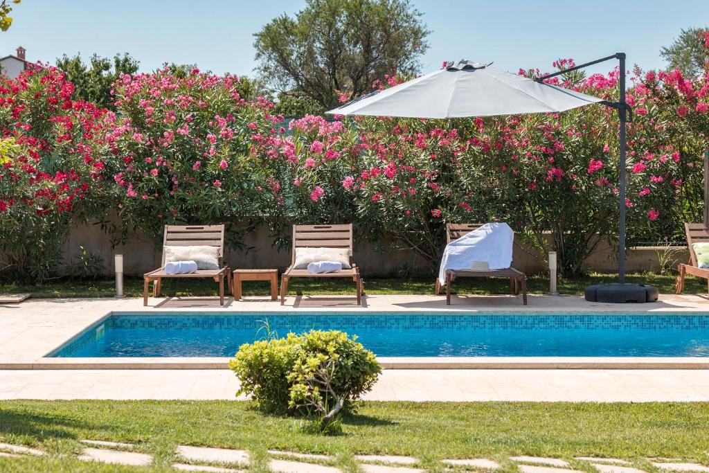 Bazén v ubytovaní Villa Viviana Fažana Valbandon Heated pool alebo v jeho blízkosti