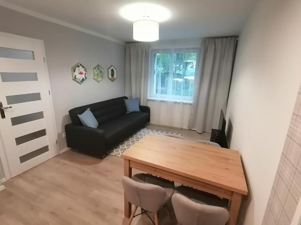 ein Wohnzimmer mit einem schwarzen Sofa und einem Tisch in der Unterkunft City Apartments Warszawska in Zgorzelec