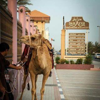 Daraysh Hotel - Resim 38