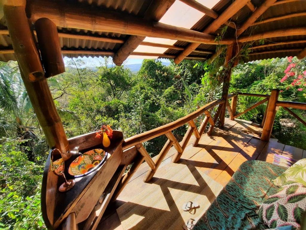  Mariri Jungle Lodge