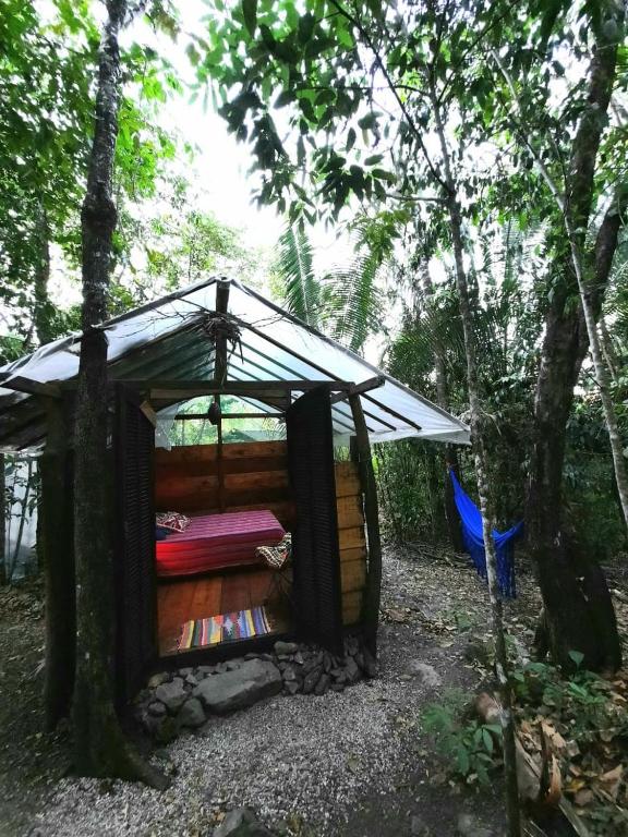  Mariri Jungle Lodge