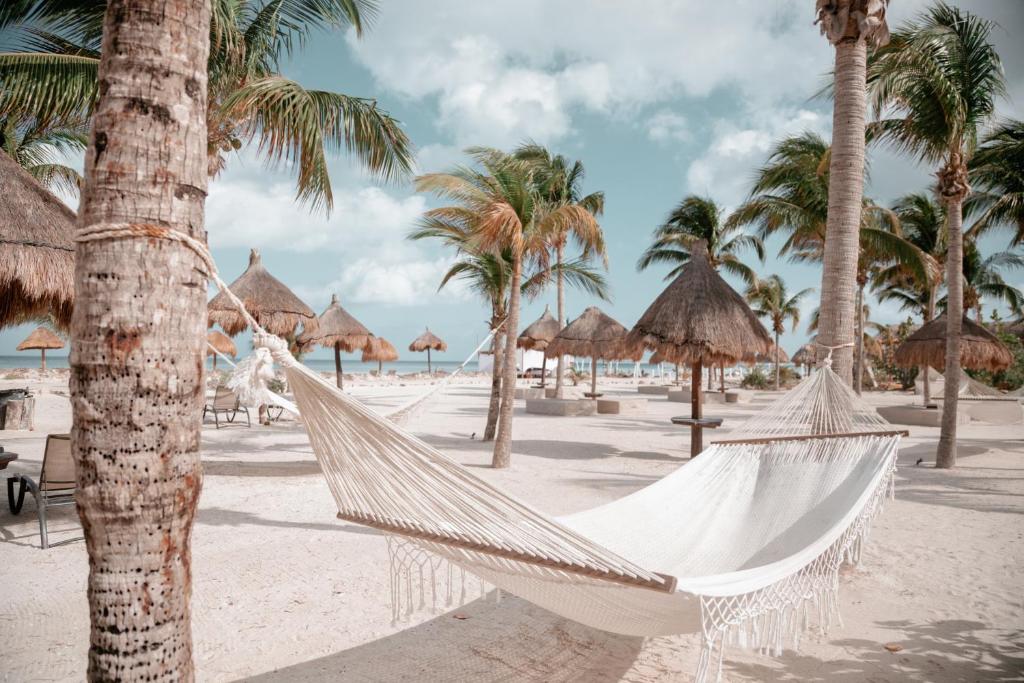 a hammock on a beach with palm trees at Blue Holbox in Holbox Island