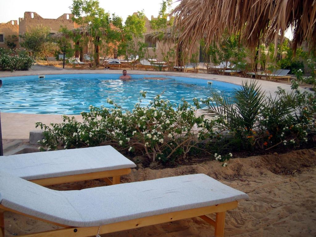 Bazén v ubytování Siwa Shali Resort nebo v jeho okolí