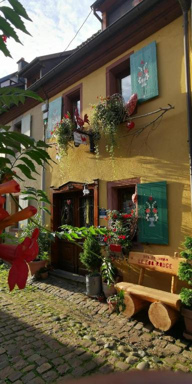 GITE LE COQ ROUGE – photo 47