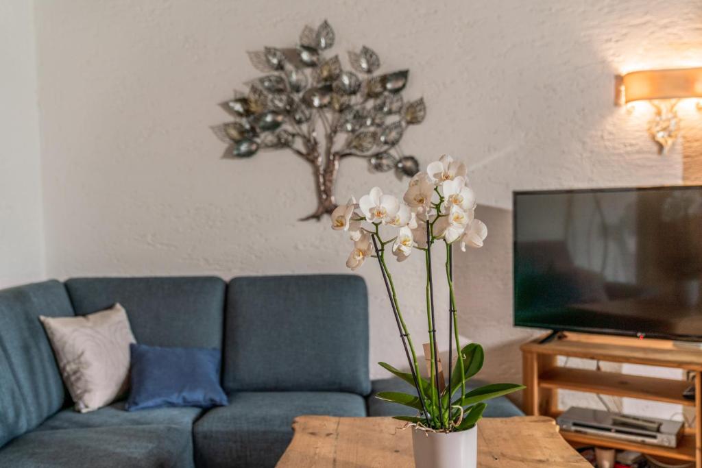 TV a/nebo společenská místnost v ubytování Landhaus Blaubeerhügel