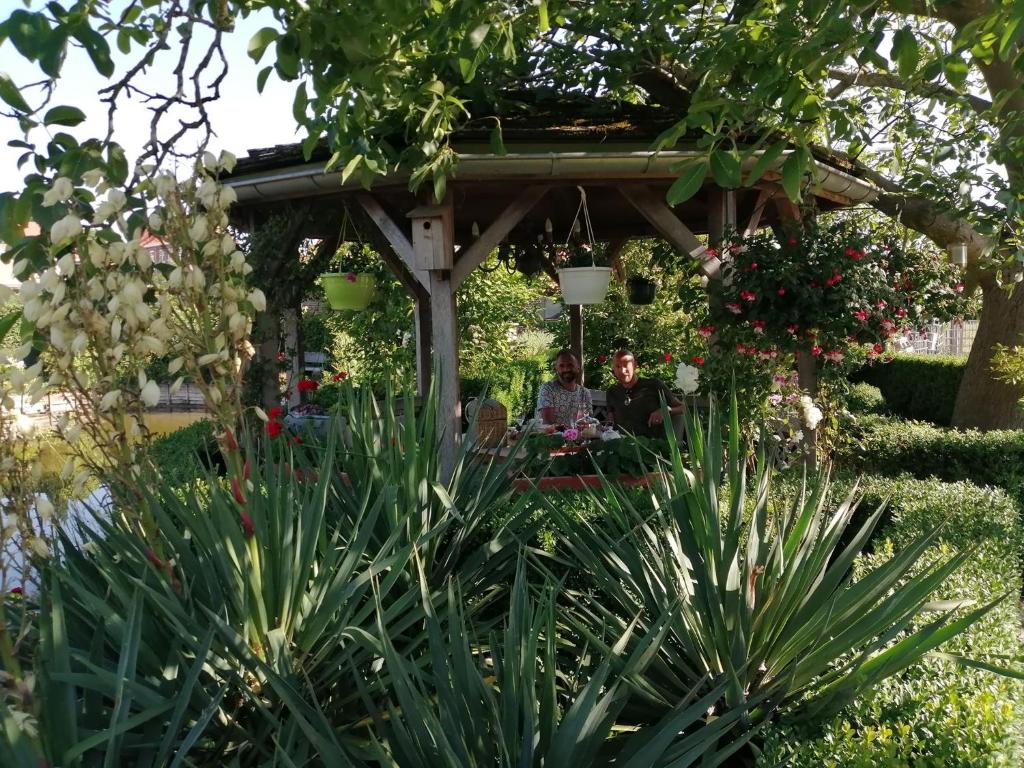 Zahrada ubytování B&B De Rentmeesterhoeve