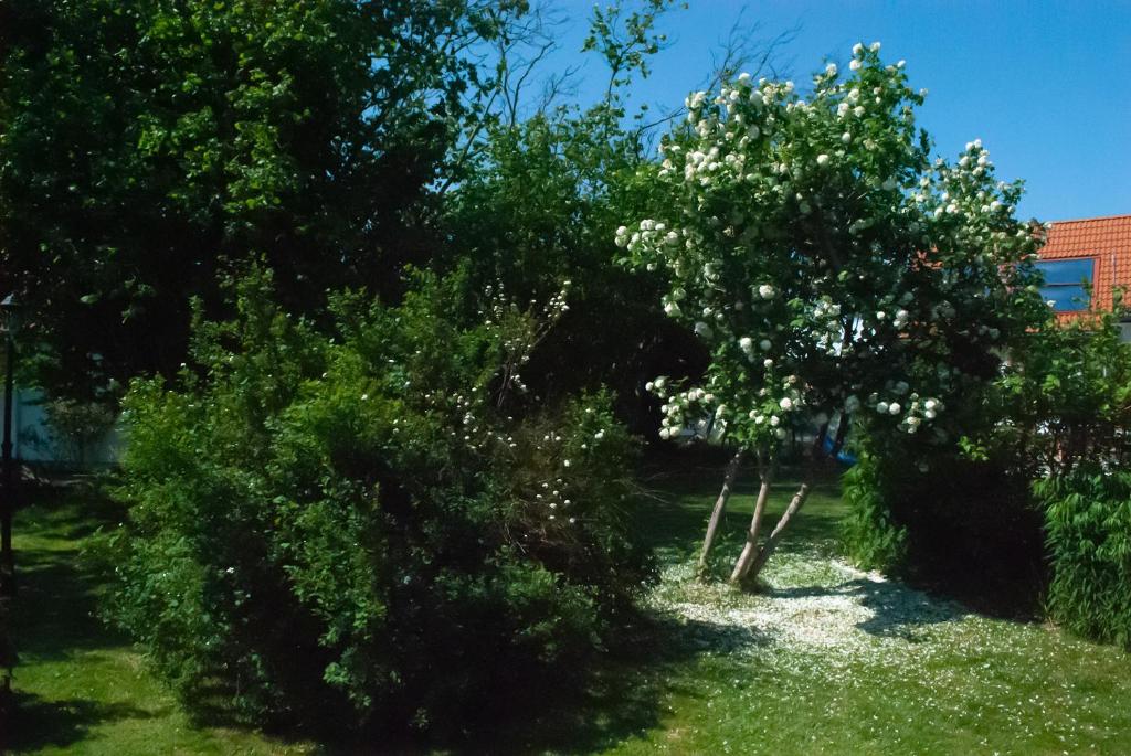 Zahrada ubytování Nordanå Gård