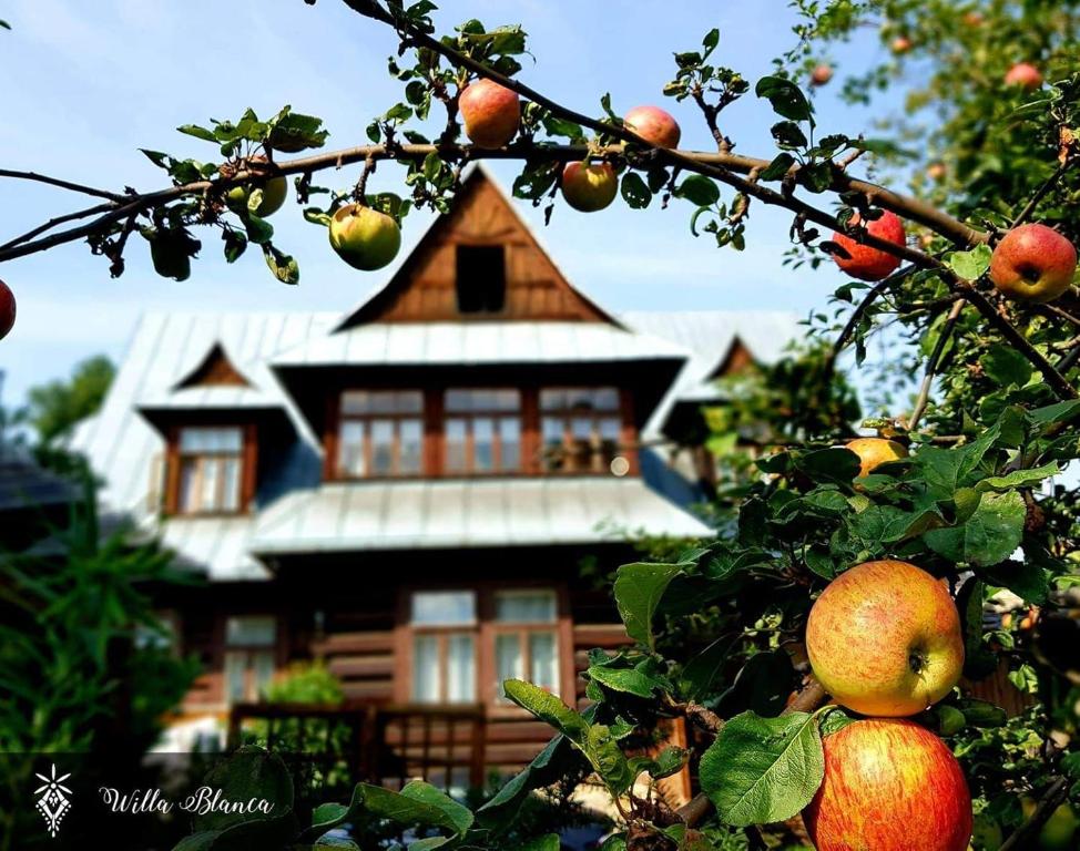 an apple tree in front of a house at Willa Blanca Zakopane in Zakopane