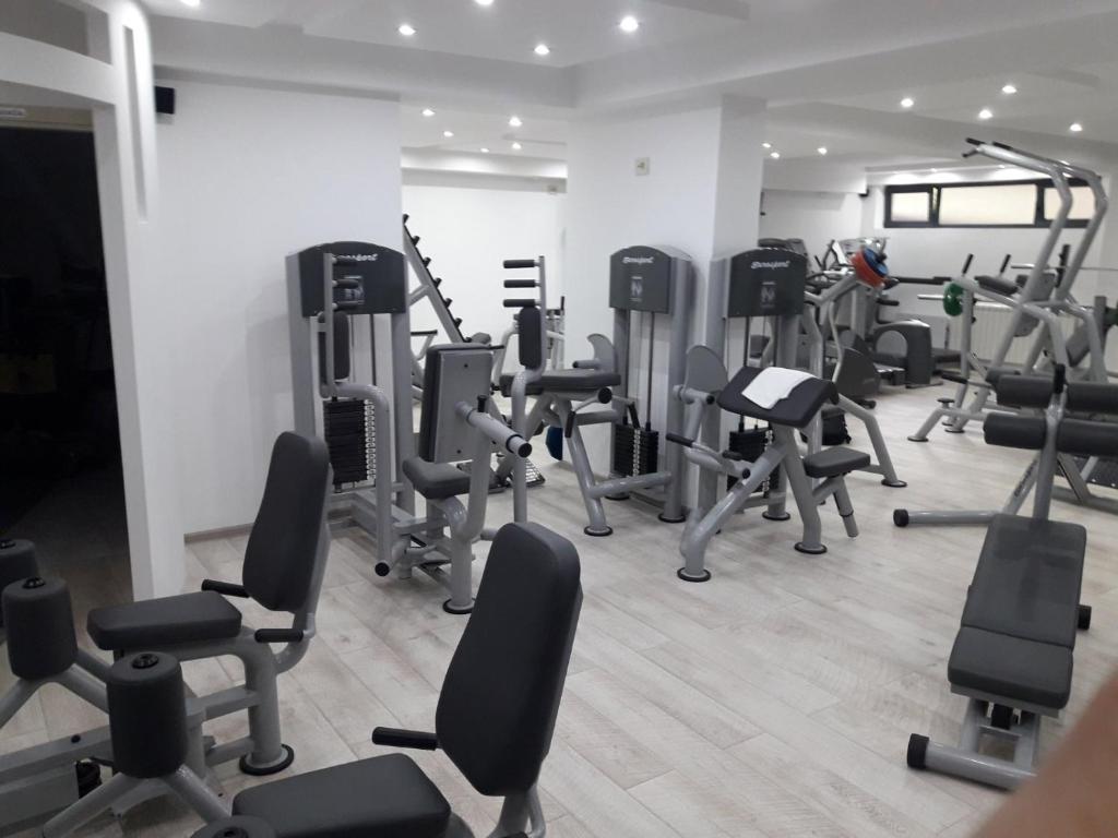 Fitness centrum a/nebo fitness zařízení v ubytování Vila Pekovic green-Apartman PAMA