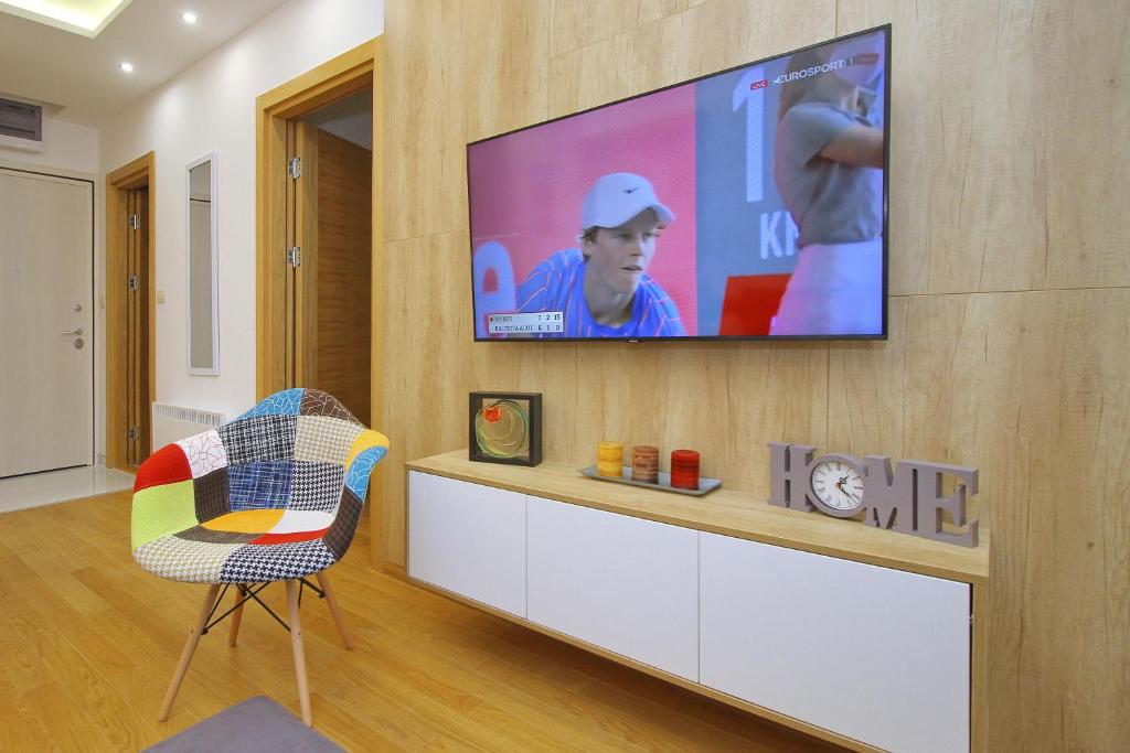 TV a/nebo společenská místnost v ubytování Vila Pekovic green-Apartman PAMA