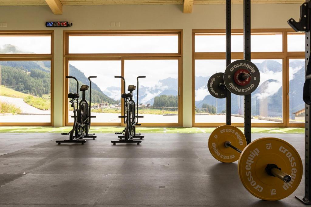 Fitness centrum a/nebo fitness zařízení v ubytování Meisser Lodge