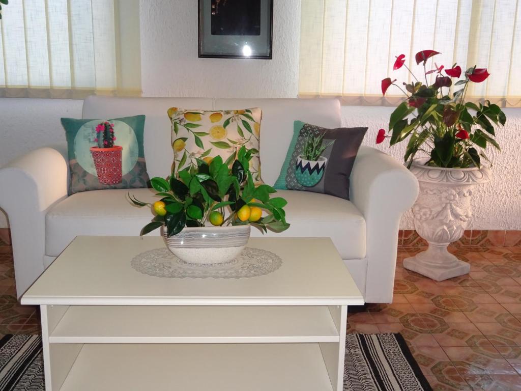 Posezení v ubytování Rooms Kapelj