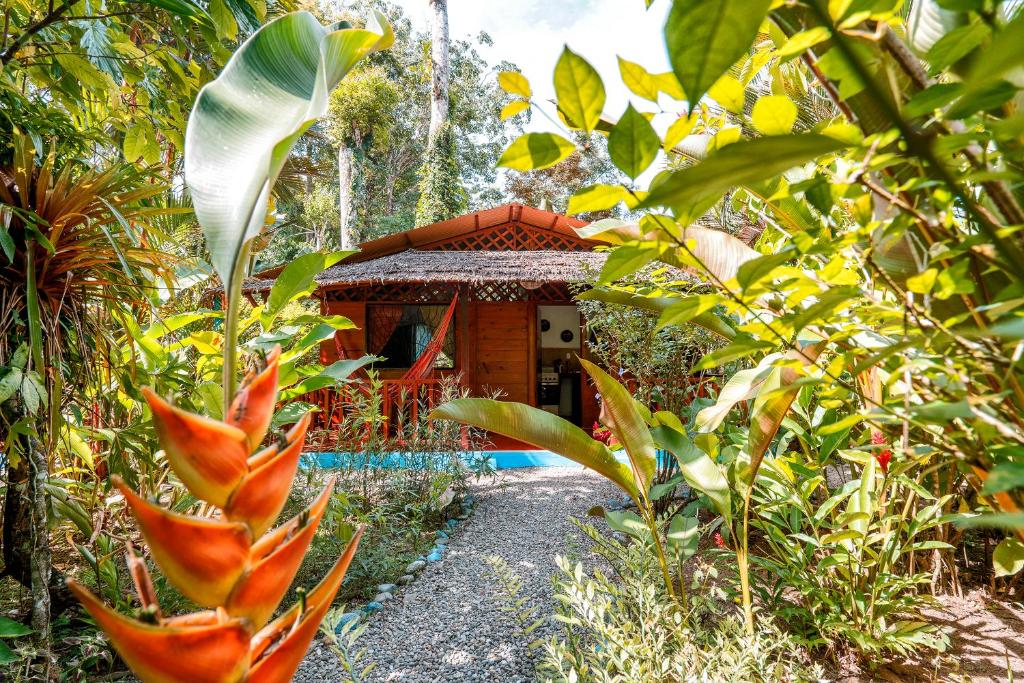 Zahrada ubytování Casitas Las Flores