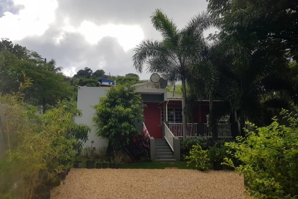 een huis met een palmboom ervoor bij Always Summer Inn in Culebra