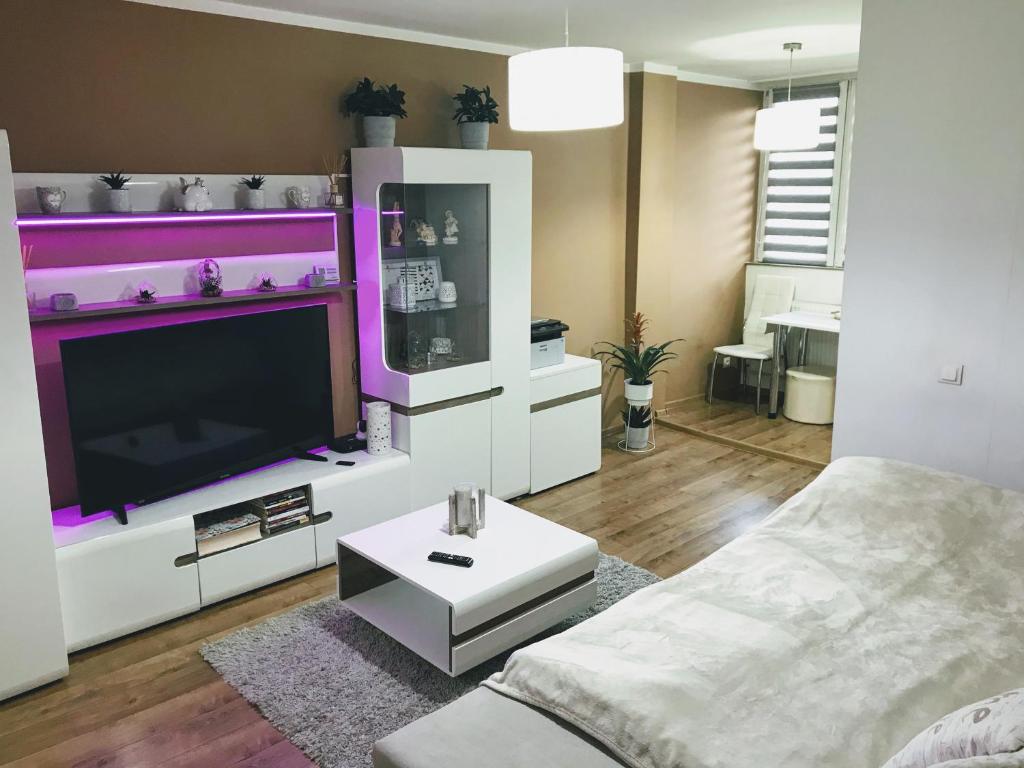特爾古穆列什的住宿－Apartament Gabriela，客厅配有大电视和沙发