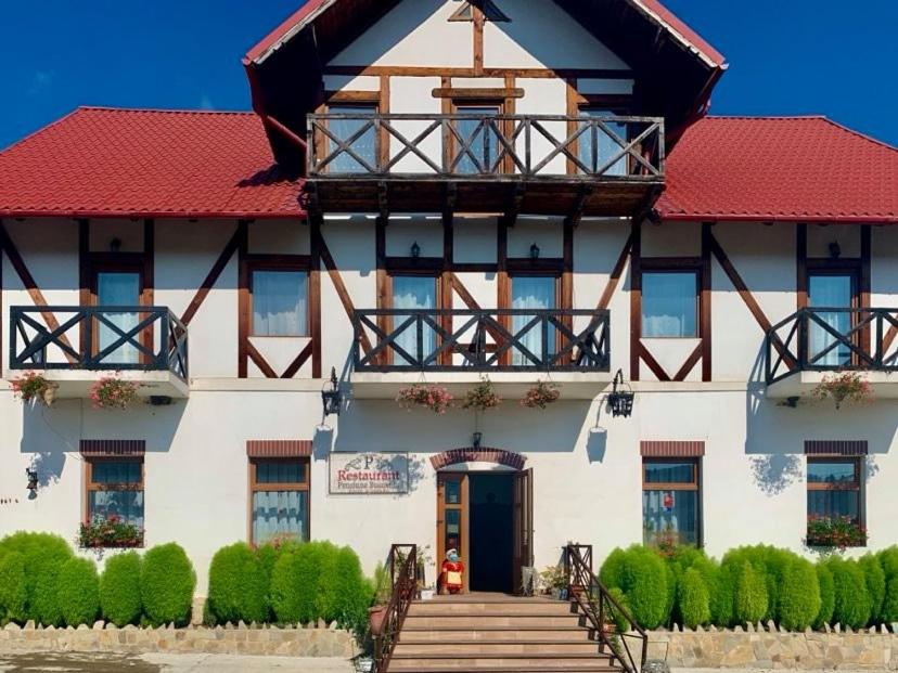 Pensiunea Restaurant Bucovina (CarmeniaSRL) (România Putna) - Booking.com