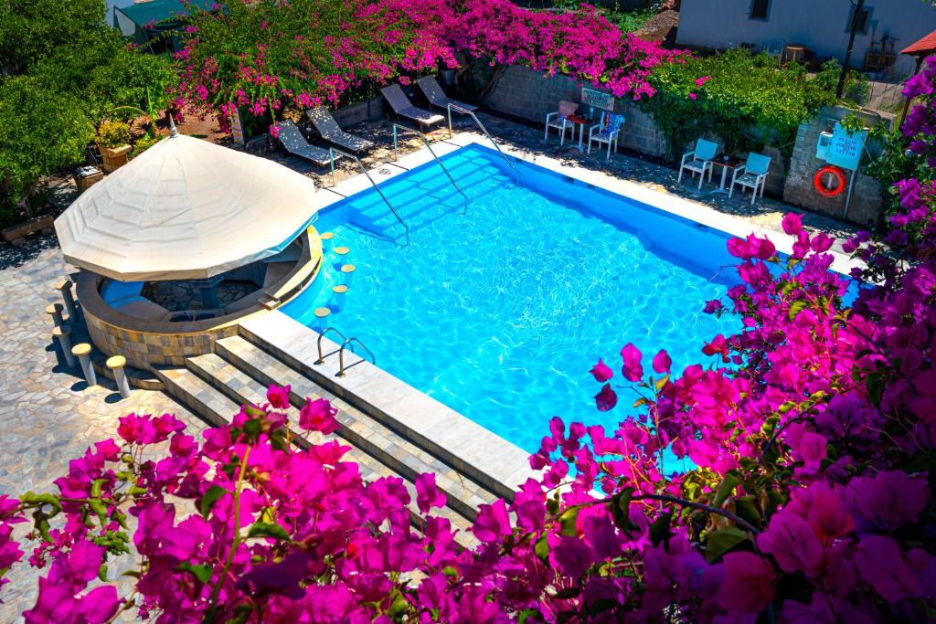 Bazén v ubytování Skala Hotel nebo v jeho okolí