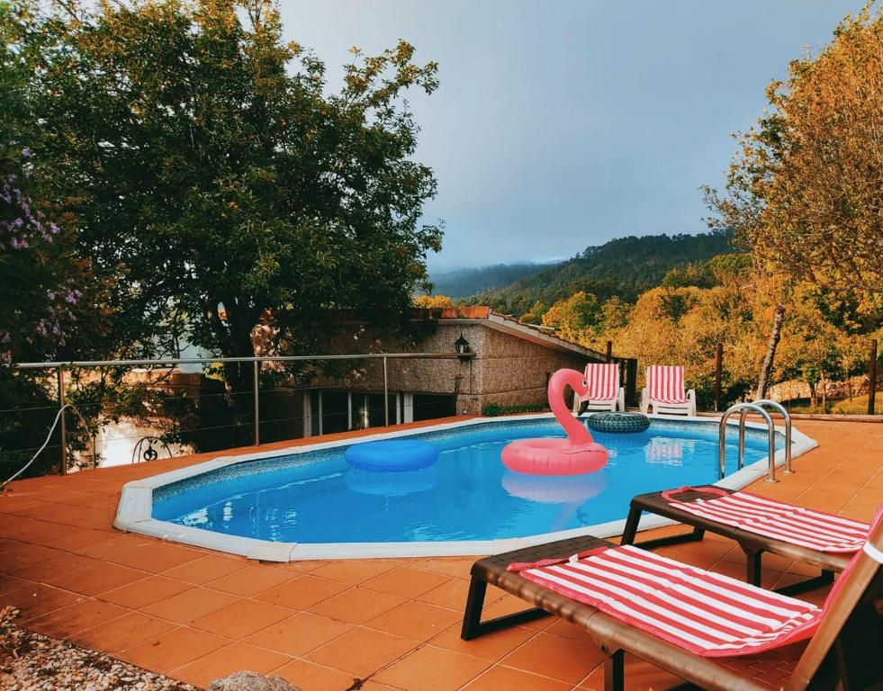 - une piscine avec un flotteur de cygne et 2 chaises dans l'établissement Casa Rural Area con piscina, à Gondomar