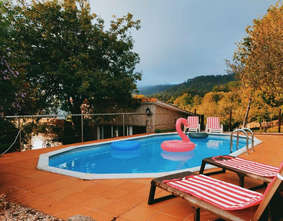 a swimming pool with a swan float and two chairs at Casa Rural Area con piscina in Gondomar