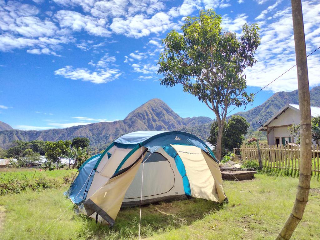 a tent in a field with a tree and mountains at Bale Sembahulun Cottages & Tend in Sembalun Lawang