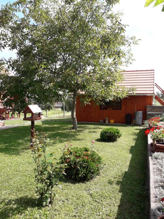 Zahrada ubytování Mátyás Apartman