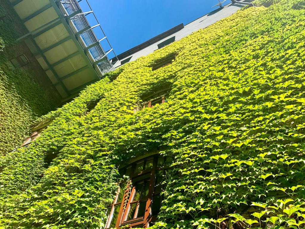 Aparthotel Hornigold \ - Resim 43